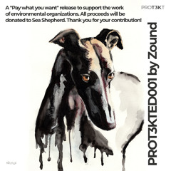 Zound - Tiene (PROT3KTED001: Pay What You Want)