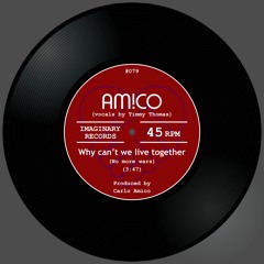 Why can't we live together (no more wars)