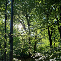 The last time you listen. 2025.