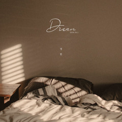 정한(SEVENTEEN) - Dream (KOR ver.)