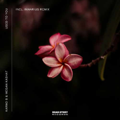 Karno B, Megan Kashat - Used To You