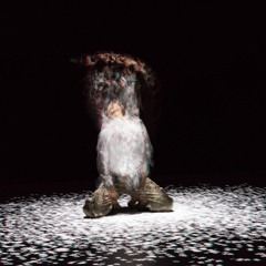 2016 - 12 - ParticleFog - TEST2 - JP - NYE