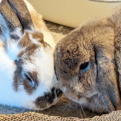 Gustav and Mackenzie