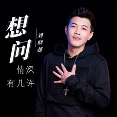 想问情深有几许 (DJ默涵版)