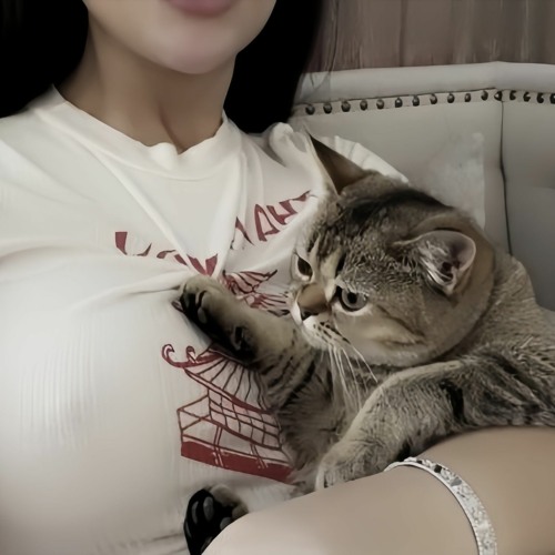 Em Nào Có Tội Remix