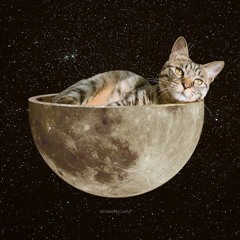 Sleep