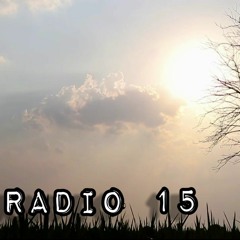 Radio 15 (Shi) - Nguyễn Đình Toàn