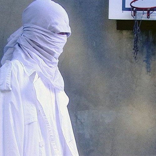 deftones - sextape (vermin flip)