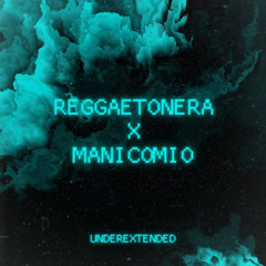 REGGAETONERA X MANICOMIO | MASHUP | UnderExtended | Descarga Gratuita