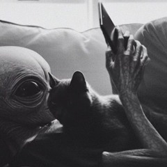 Podcast - Byebye 2025 - Pablo Tourk