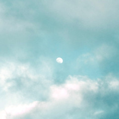 Fly