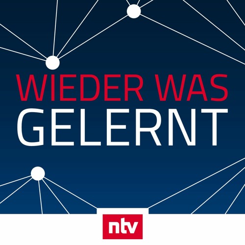 #315 Hat EY Schuld am Wirecard-Betrug?