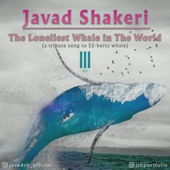 The Loneliest Whale in The World | تنهاترین نهنگ دنیا