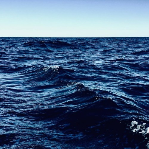 everyday (08-08-22) open ocean, rise and fall