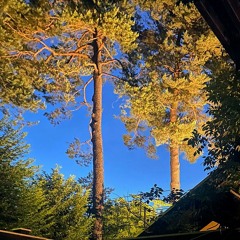 JanLoex @ GW2 Open Air