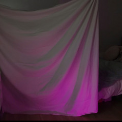 sweet carolina by lana del rey (voice memo)