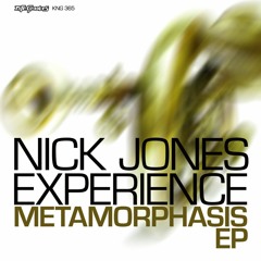 Nick's Theme (Nite Grooves Club Mix)