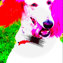 toni,toni,stoney,barney