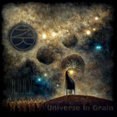 Universe In Grain