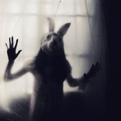 White Rabbit Night