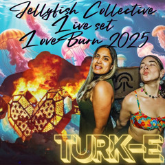 Live set from JellyFish Collective Loveburn Festival 2025