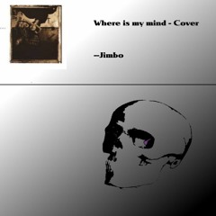 Where Is My Mind - Cover
