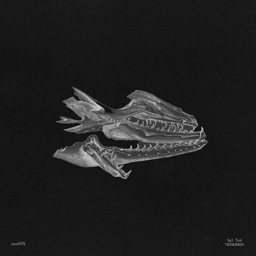 Trail - Tenebris [Premiere]