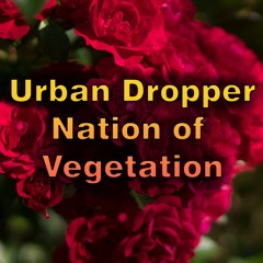 Urban Dropper - Dodging Rocks