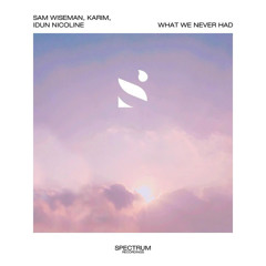 Sam Wiseman, Karim, Idun Nicoline - What We Never Had