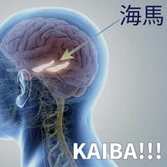 KAIBA!!!