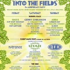 Neil Hargreaves @ Into The Fields Festival / Blyth / 26.05.23