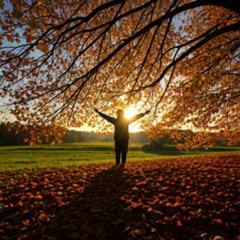 Summer Leaves