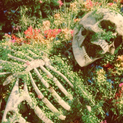 persephone