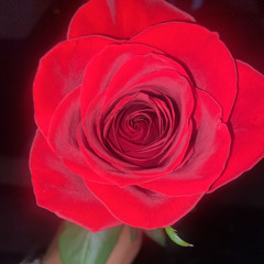 Lil Bear a.k.a (LB) - Let Me Know