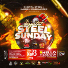Digital Steel 11/05/24.mp3
