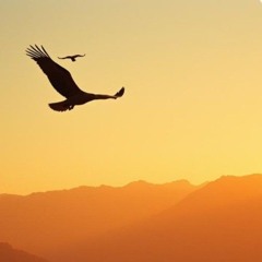 El Vuelo Sagrado (The Sacred Flight).mp3