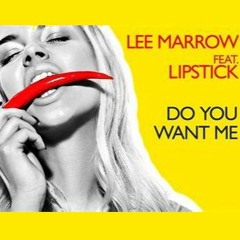 LEE MARROW FEAT. LIPSTICK VS REIMBERG - DO YOU WANT ME ? - DAMATTAH´S PUMP IT UP MASH - PREVIEW