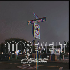 ROOSEVELT SPECIAL - NAMENASTY