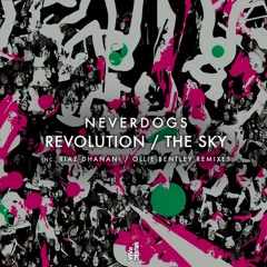 Premiere: Neverdogs - Revolution [VIVa Music]
