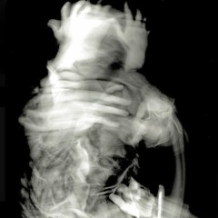 vicicous.(Official Audio)