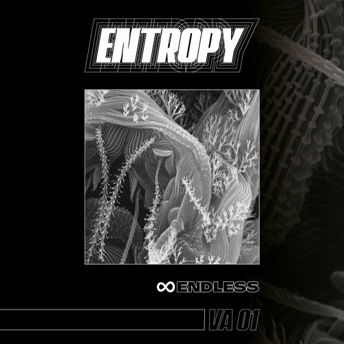 Introducing ENDLESS VA 01: ENTROPY [snippets]