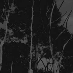 ZH01 - I
