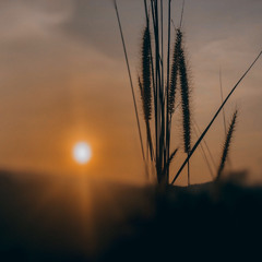 TANPA CINTA COVER MICHELA THEA