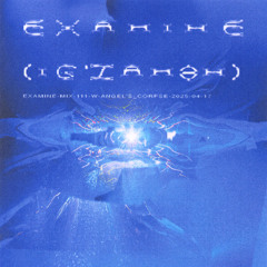 examine-mix-111-w-angel’s_corpse-2025-04-17