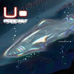 WERLAIN / ARR 006  /  VINYL ONLY