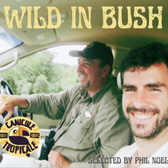 WILD IN BUSH - a wild safari of rare african 45's