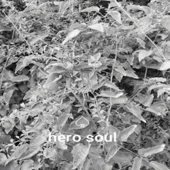 Hero Soul - a Dedication to Phil 'Geronimo'Jones, S.E.X.