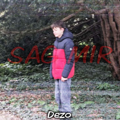 Sag Mir