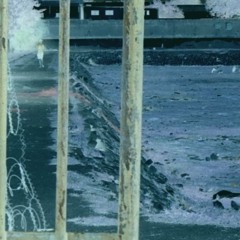 Death Such As Life Exists