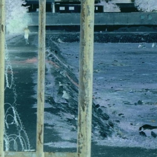 Death Such As Life Exists